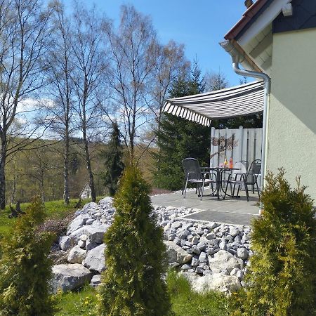 Behagliches Ferienhaus Zaunkoenig -Mit Kamin Und Sauna Tanne Ngoại thất bức ảnh