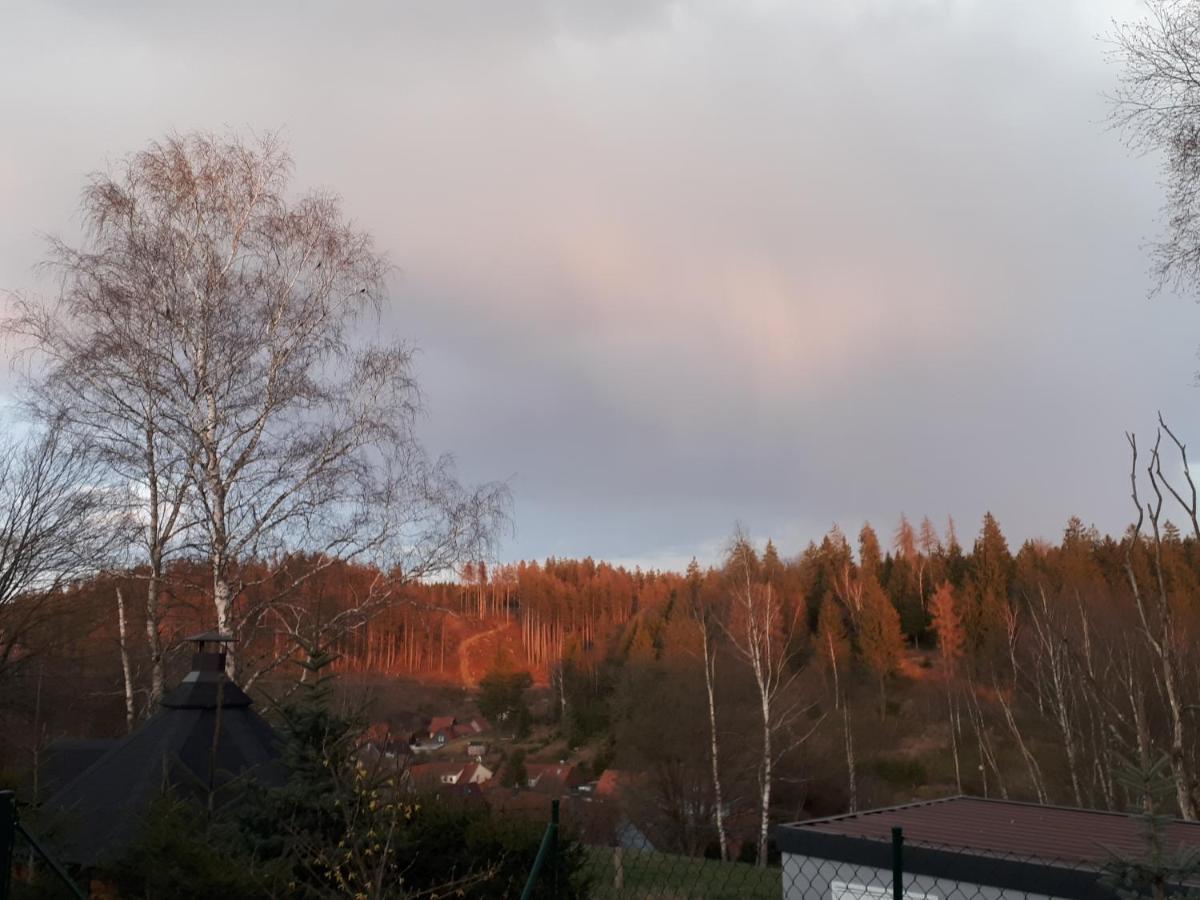 Behagliches Ferienhaus Zaunkoenig -Mit Kamin Und Sauna Tanne Ngoại thất bức ảnh
