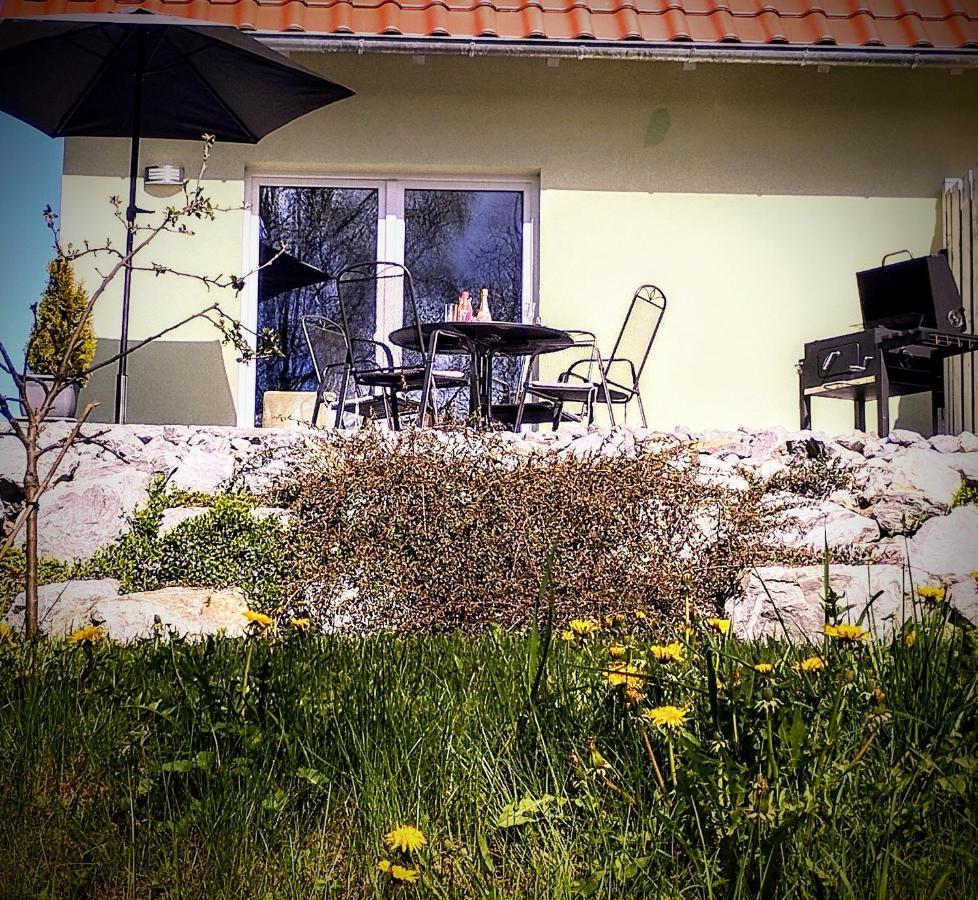 Behagliches Ferienhaus Zaunkoenig -Mit Kamin Und Sauna Tanne Ngoại thất bức ảnh