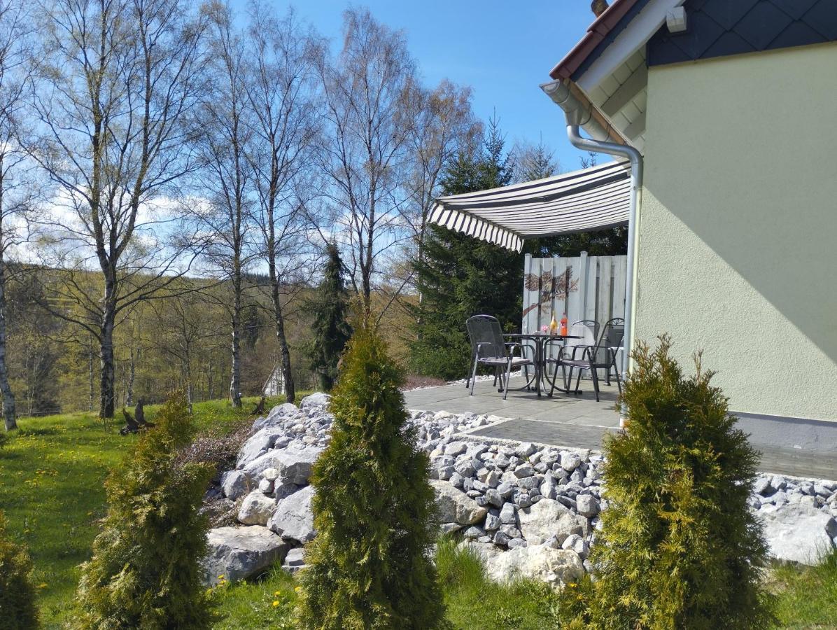 Behagliches Ferienhaus Zaunkoenig -Mit Kamin Und Sauna Tanne Ngoại thất bức ảnh